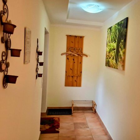 Ludwigsthal Ferienwohnung Im Landhaus Am Nationalpark מראה חיצוני תמונה