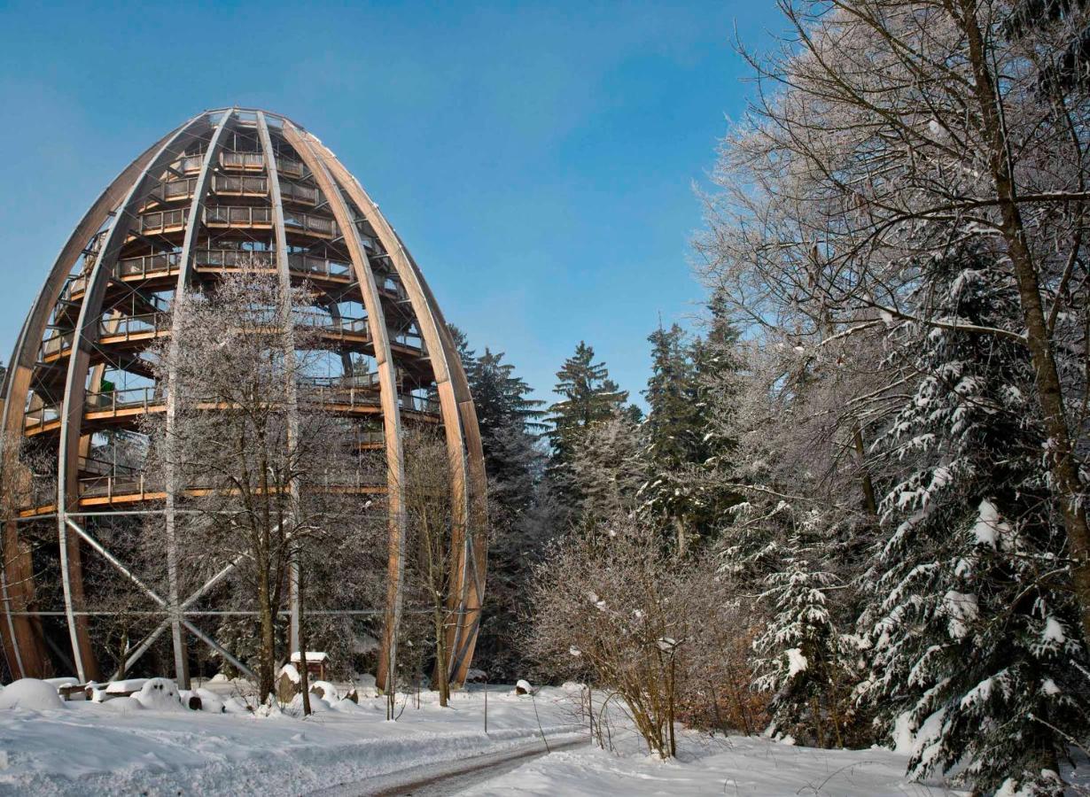 Ludwigsthal Ferienwohnung Im Landhaus Am Nationalpark מראה חיצוני תמונה