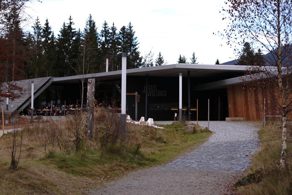 Ludwigsthal Ferienwohnung Im Landhaus Am Nationalpark מראה חיצוני תמונה