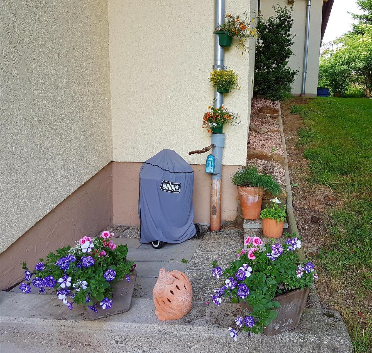 Ludwigsthal Ferienwohnung Im Landhaus Am Nationalpark מראה חיצוני תמונה