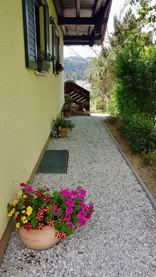 Ludwigsthal Ferienwohnung Im Landhaus Am Nationalpark מראה חיצוני תמונה